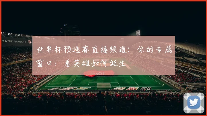 世界杯预选赛直播频道:你的专属窗口,看英雄如何诞生