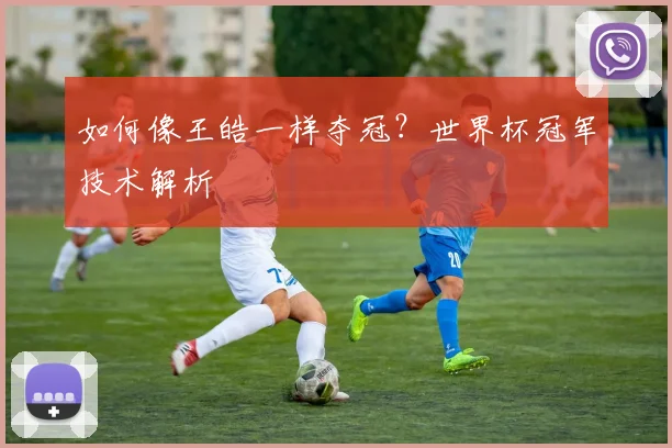 如何像王皓一样夺冠?世界杯冠军技术解析