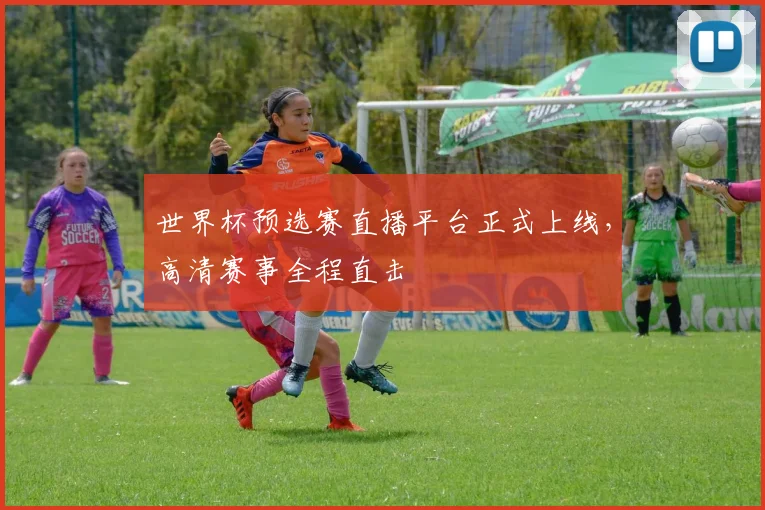 世界杯预选赛直播平台正式上线,高清赛事全程直击