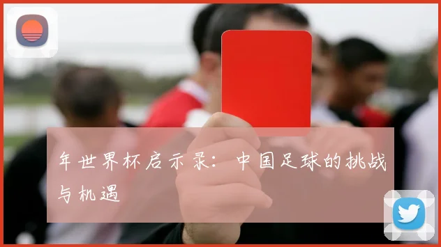 年世界杯启示录:中国足球的挑战与机遇