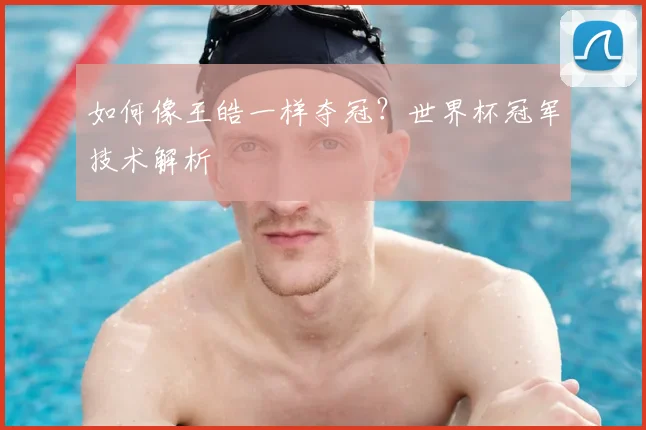 如何像王皓一样夺冠?世界杯冠军技术解析