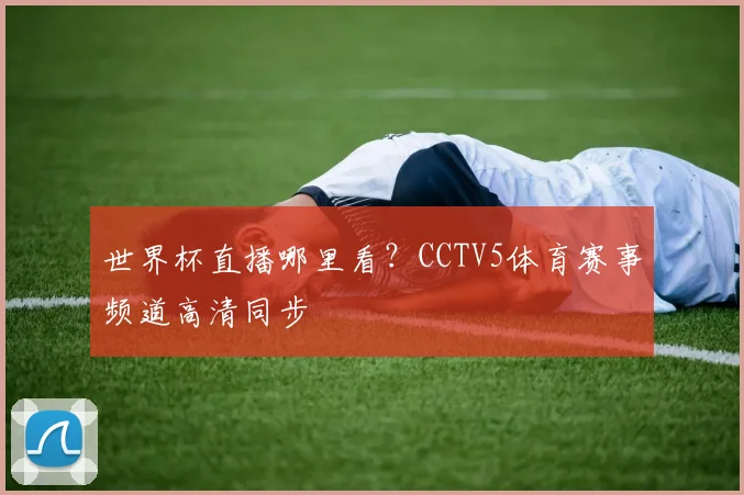 世界杯直播哪里看？CCTV5体育赛事频道高清同步