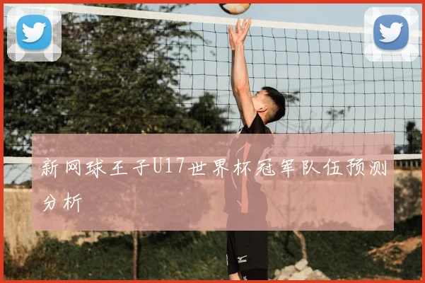 新网球王子U17世界杯冠军队伍预测分析