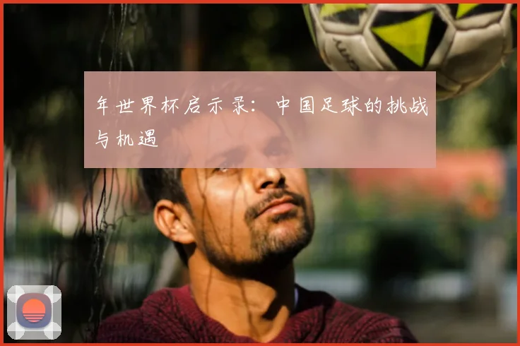 年世界杯启示录:中国足球的挑战与机遇