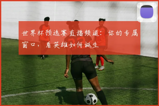 世界杯预选赛直播频道:你的专属窗口,看英雄如何诞生