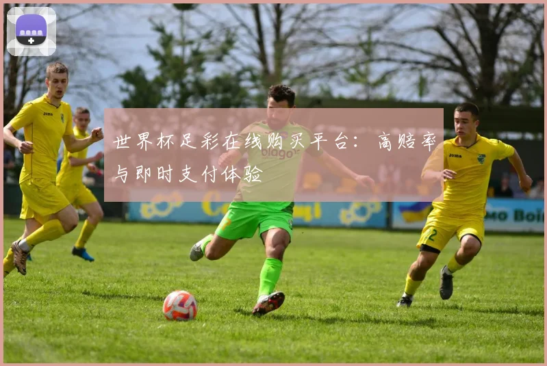 世界杯足彩在线购买平台：高赔率与即时支付体验