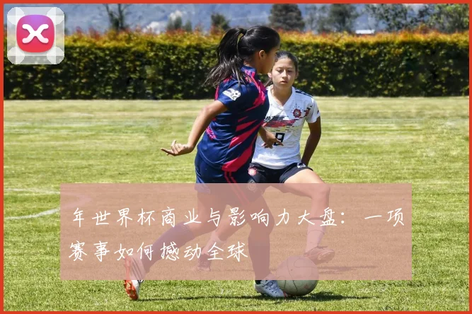年世界杯商业与影响力大盘：一项赛事如何撼动全球