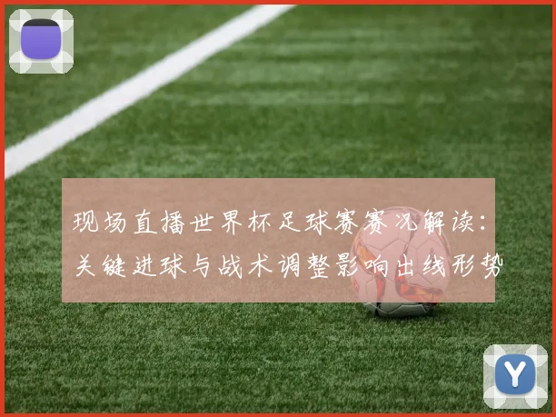 现场直播世界杯足球赛赛况解读：关键进球与战术调整影响出线形势