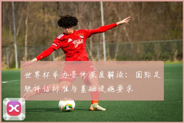 世界杯举办条件深度解读：国际足联评估标准与基础设施要求